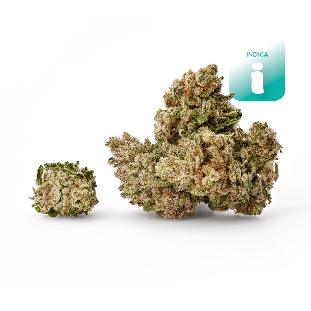 The Spice   (indica leaning) - Flower - THC: 17.2 THCA: 18.9 CBD: 
