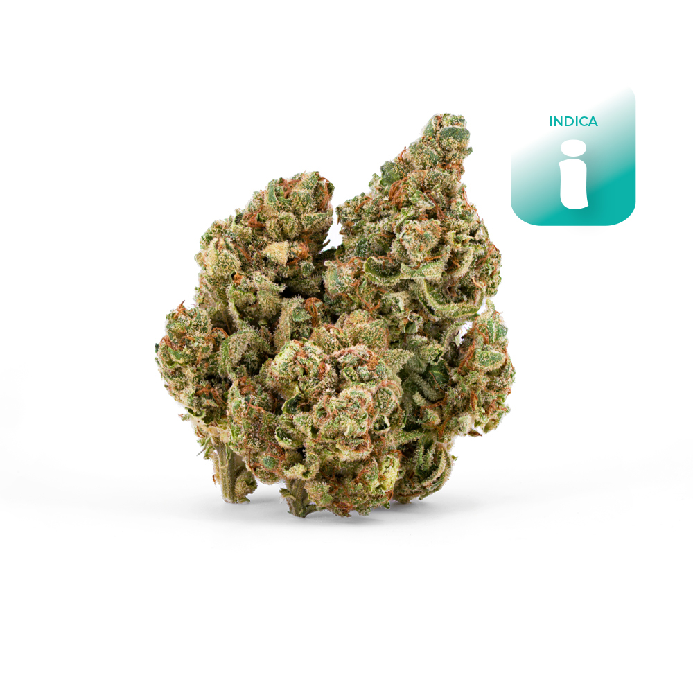 Mai Tai  (Indica Leaning)  - Flower - THC:  THCA:  CBD: 