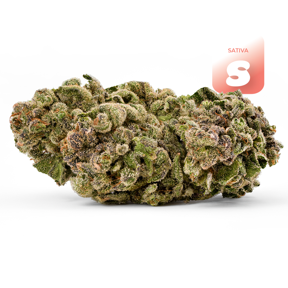 Island Blends  (Sativa Leaning) - Flower - THC: 20.2 THCA: 22.6 CBD: 0