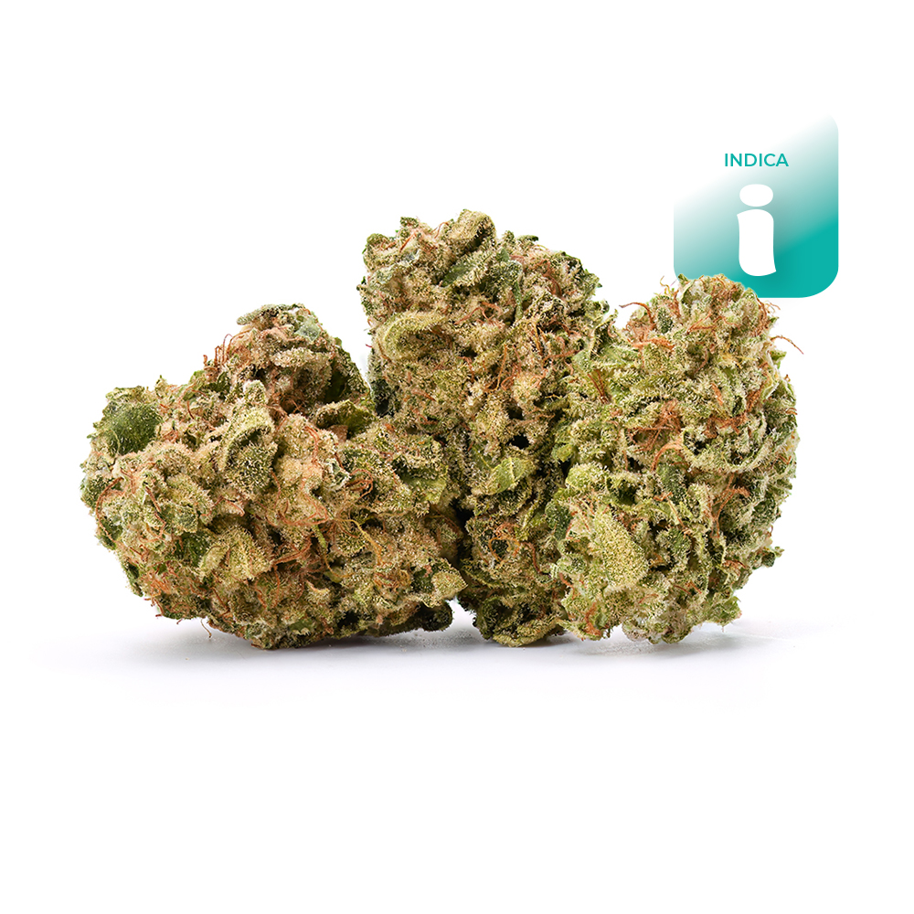 MMXX 'Twenty-Twenty'  Popcorn  (Indica leaning) - Flower - THC:  THCA: 24.9% CBD: 0
