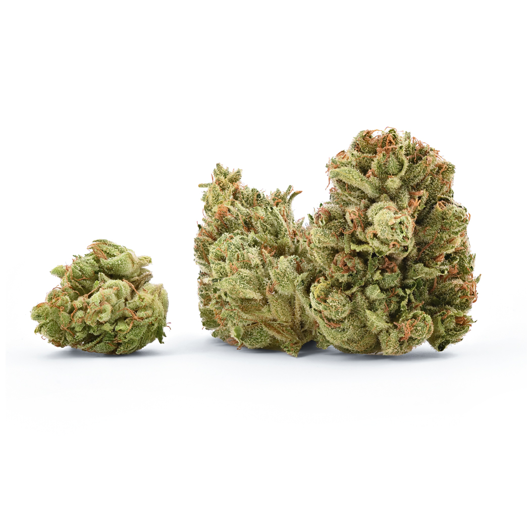 Snow-G  - Flower - THC: 0.415% THCA: 18.639% CBD: 0%