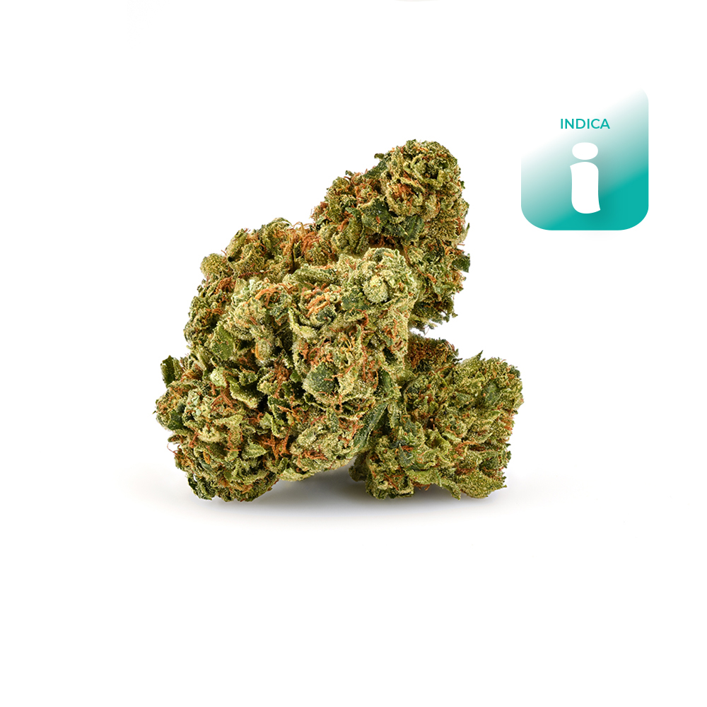 Tata  (indica leaning) - Flower - THC: 21.4 THCA: 22.3% CBD: 
