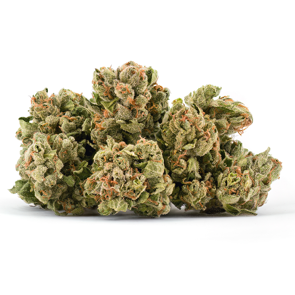 Sour Urkle (Sativa Leaning) - Flower - THC: 18.5 THCA: 20.8 CBD: 