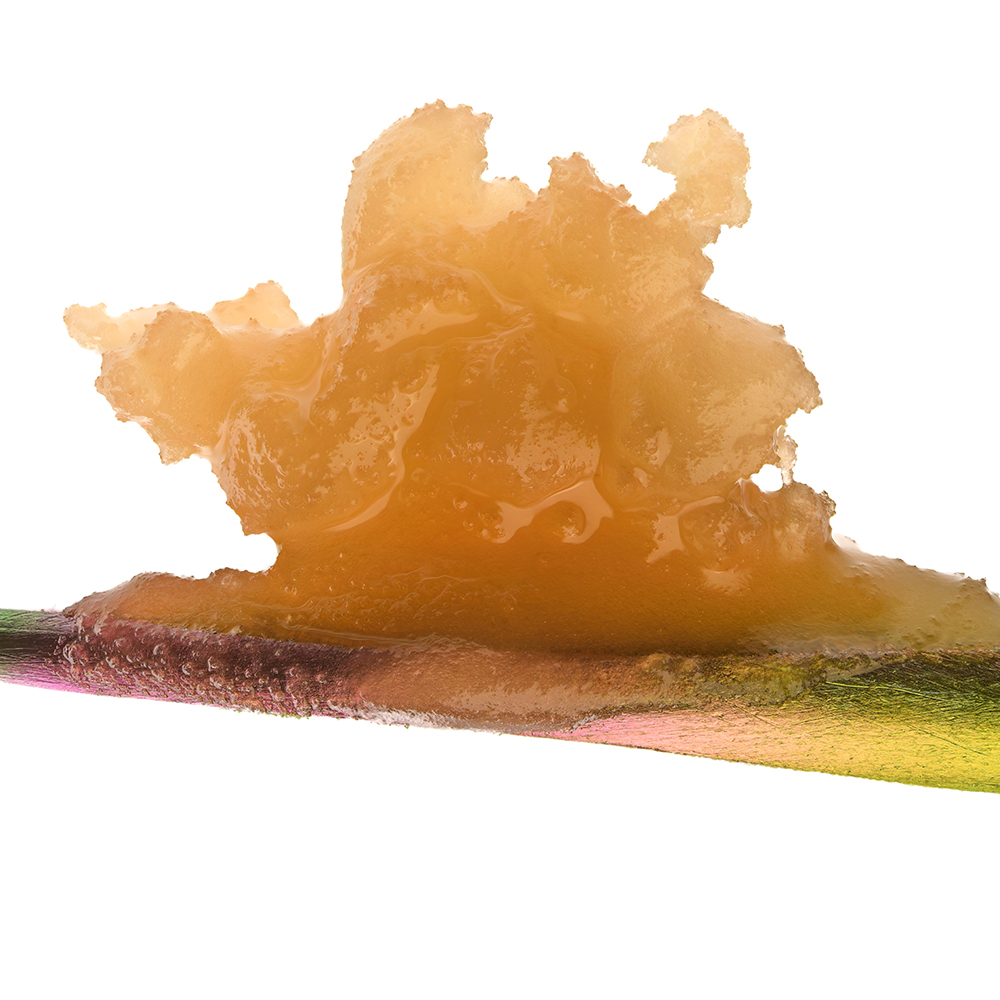 Chemdog D Live Rosin - Cold Cure - Concentrate - THC:  THCA:  CBD: 