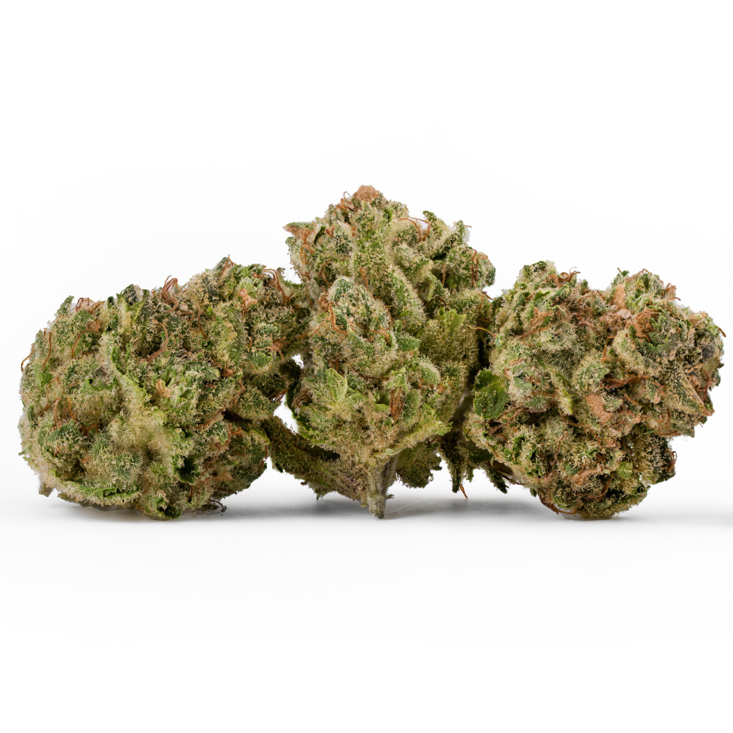 Three Dots & a Dash  (sativa leaning) - Flower - THC: 0.538 THCA: 17.973 CBD: 0