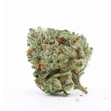 NOA- Farmers Daughter  (Sativa) - Flower - THC:  THCA:  CBD: 