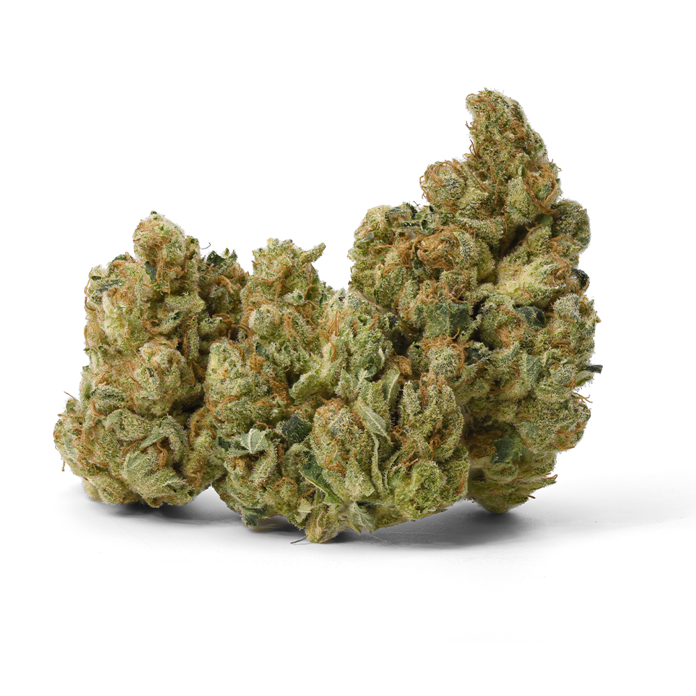 Silver OG (sativa leaning) - Flower - THC: 25.2 THCA: 28.4 CBD: 0