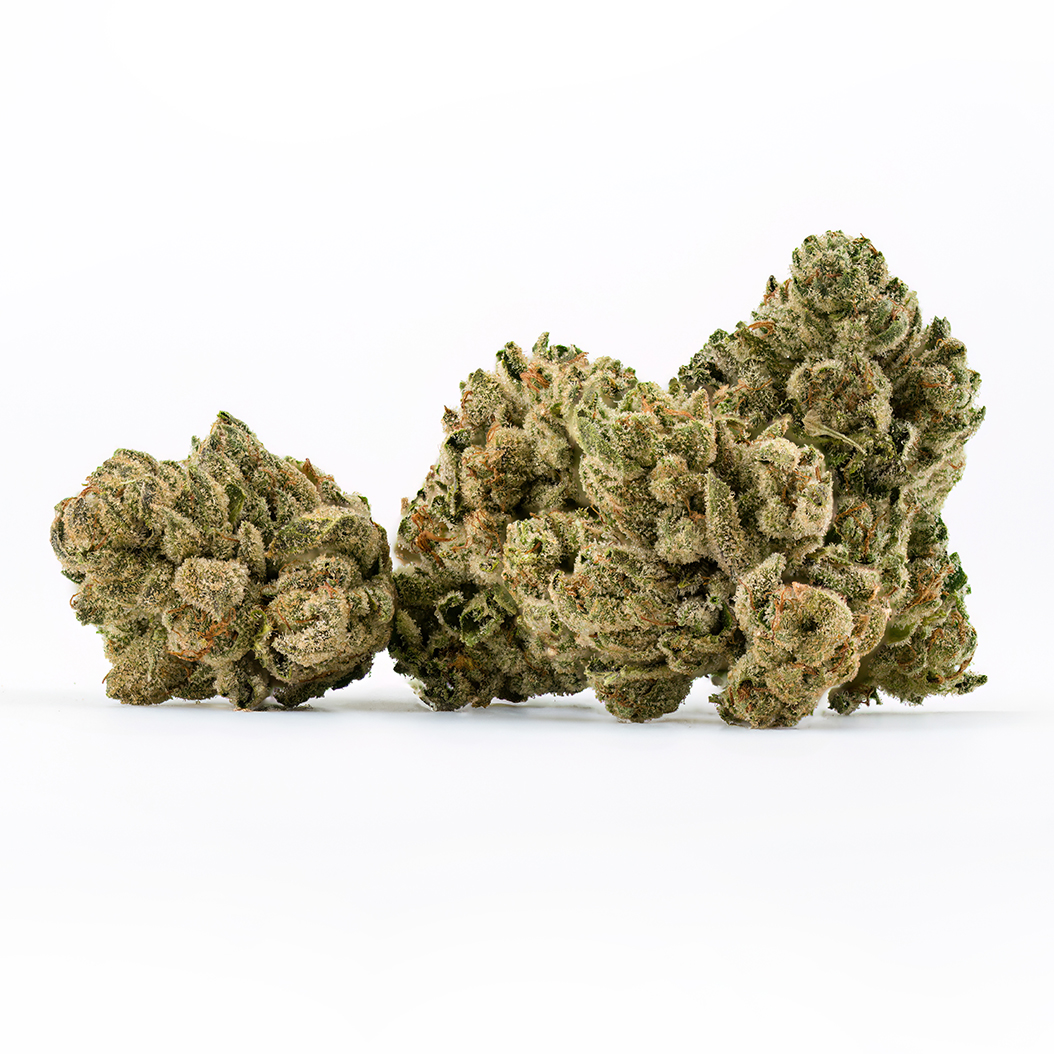 Maple Root Popcorn  (Indica Leaning) - Flower - THC: 19.4 THCA: 20.6 CBD: 0