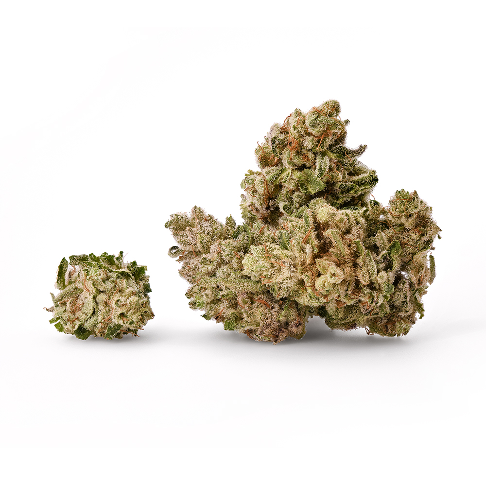 The Spice Popcorn (indica leaning) - Flower - THC: 30.633 THCA: 37.719 CBD: 0