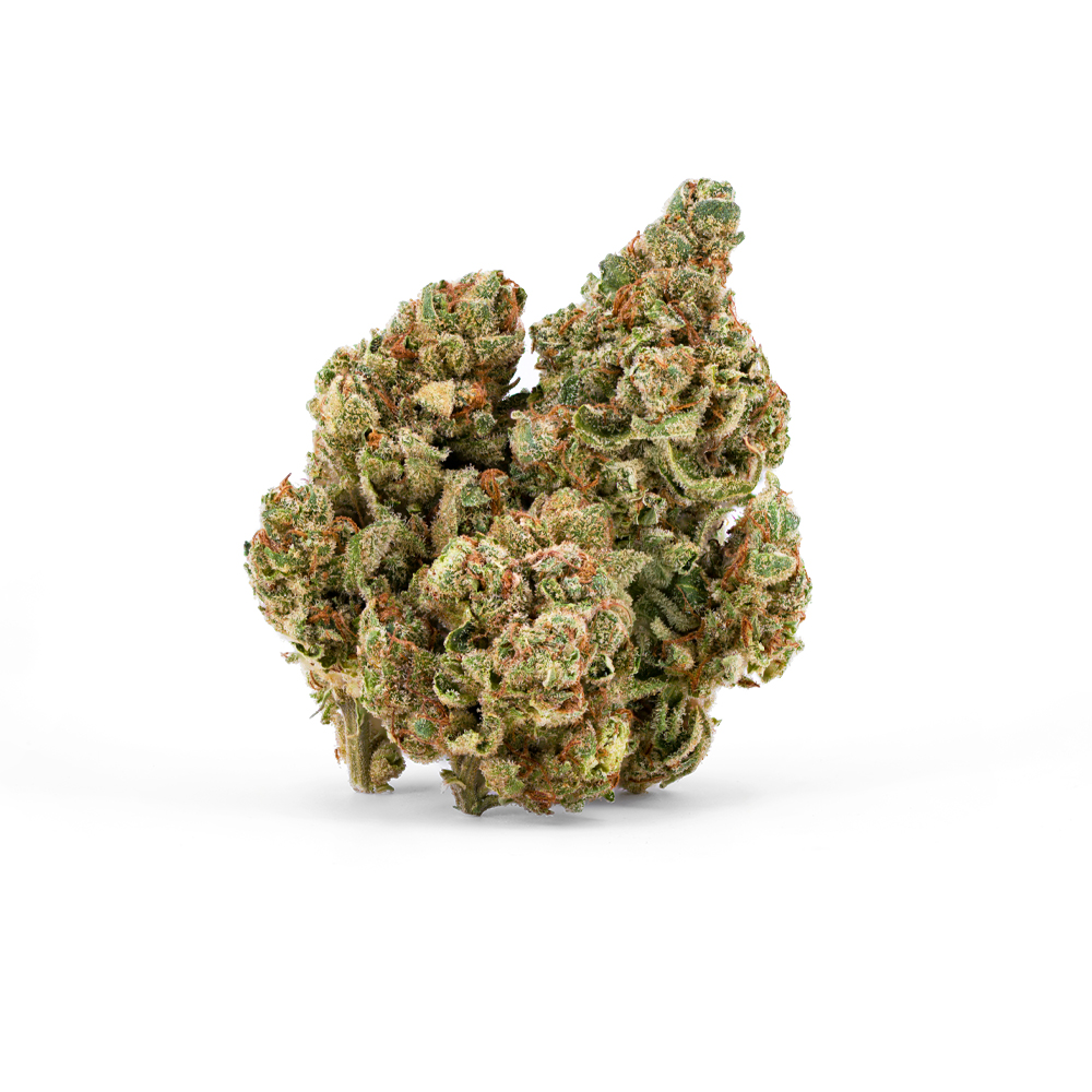 Mai Tai Popcorn  (Indica Leaning) - Flower - THC:  THCA:  CBD: 