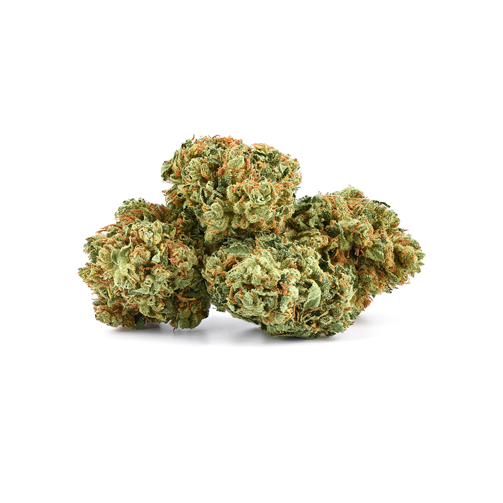Silver OG  - Flower - THC: 0.548 THCA: 24.7 CBD: 0
