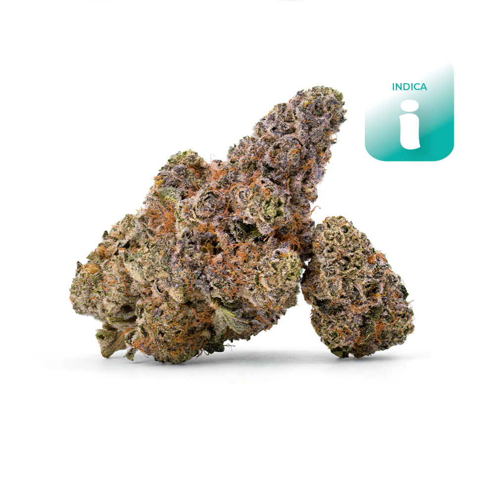 NOA - Point Break (Indica leaning) - Flower - THC: 21.24 THCA: 23.64 CBD: 0.059