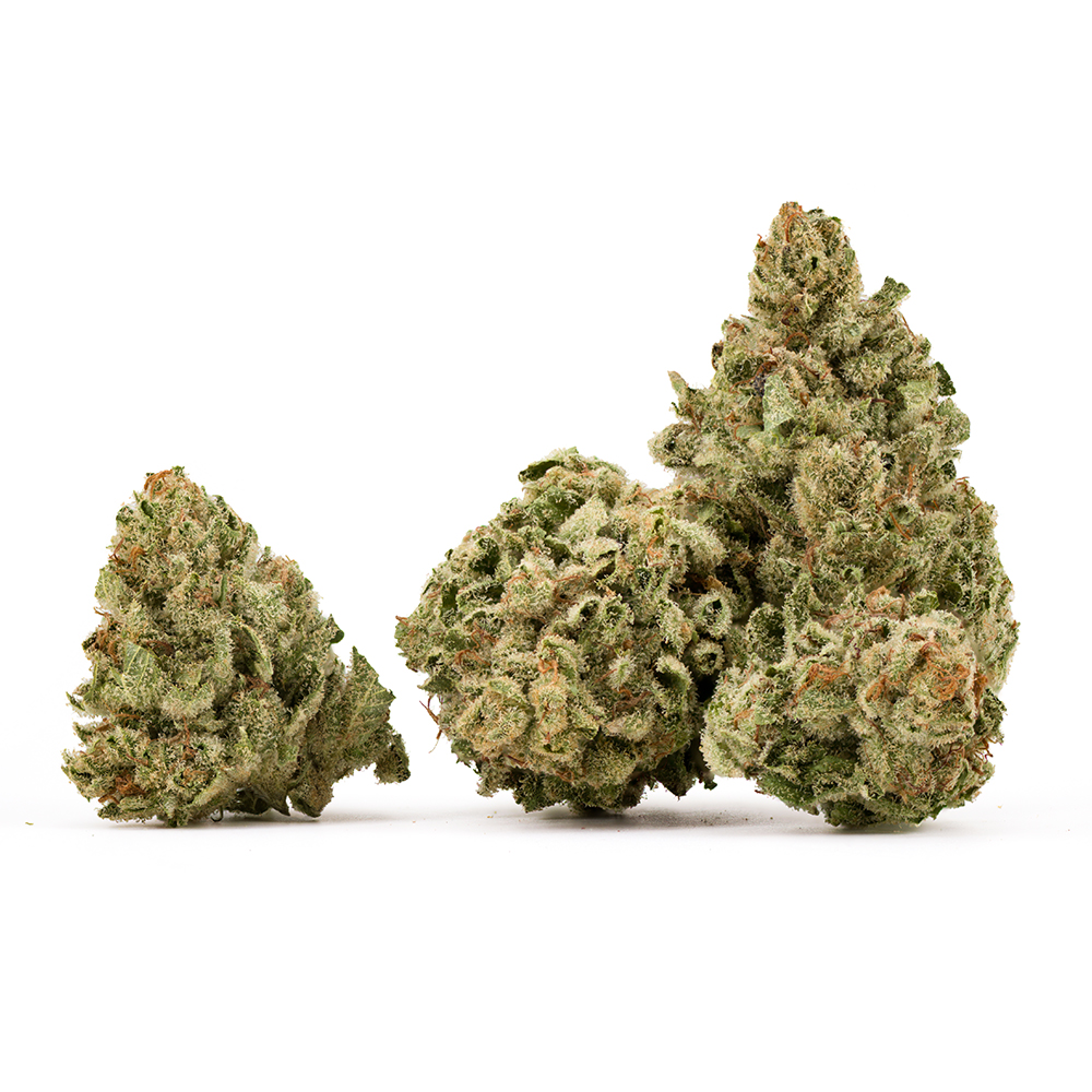 Maui Wowie Popcorn  (sativa leaning) - Flower - THC: 22.2 THCA: 24.6 CBD: 