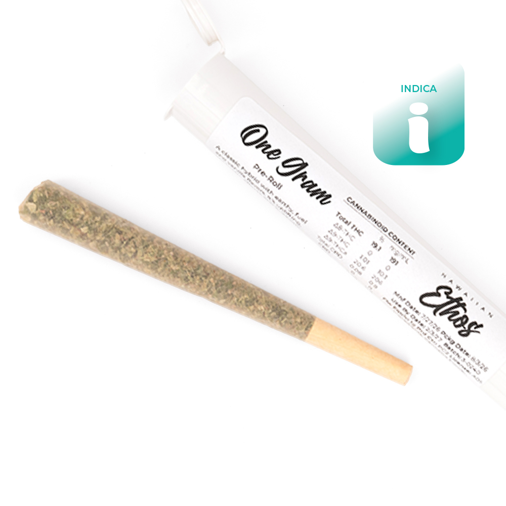 Maple Root Pre-Roll (1g) - Flower - THC:  THCA: 20.1 CBD: 