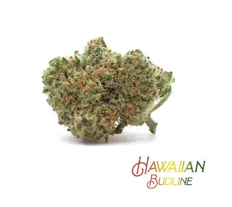 NOA - Truffaloha#2 (Shaka Buds) - Flower - THC: 22.6 THCA:  CBD: 