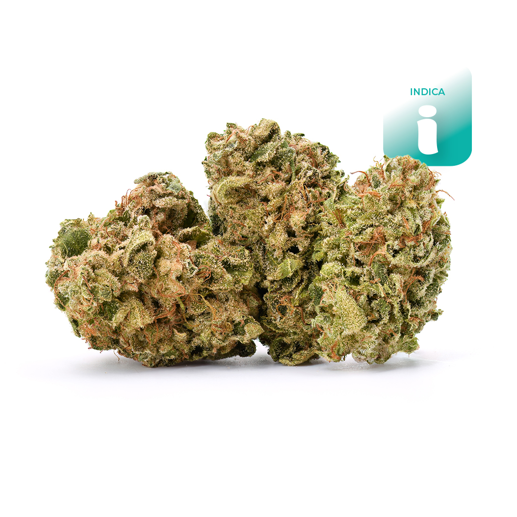 MMXX 'Twenty-Twenty'   (indica leaning) - Flower - THC: 24.2% THCA: 26.8% CBD: 