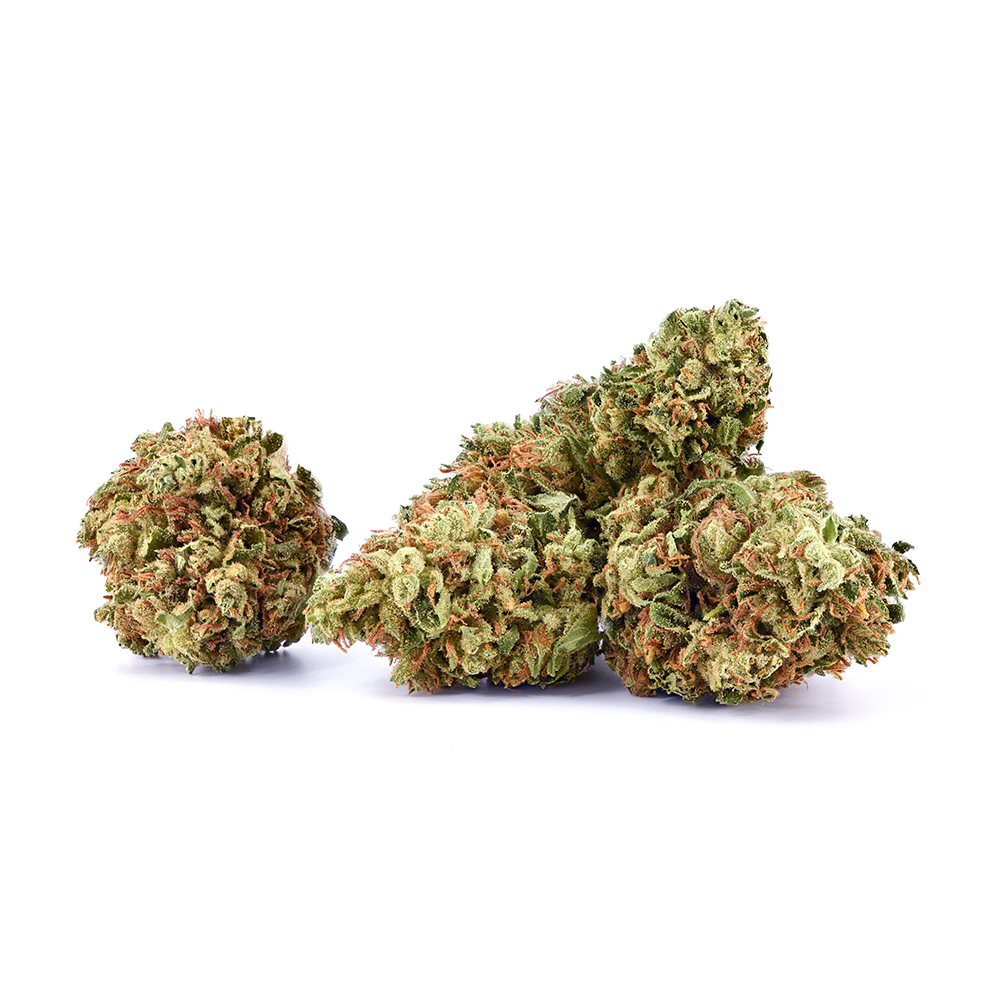 Maple Root  Popcorn   (indica leaning) - Flower - THC: 21.8 THCA: 24.4 CBD: 