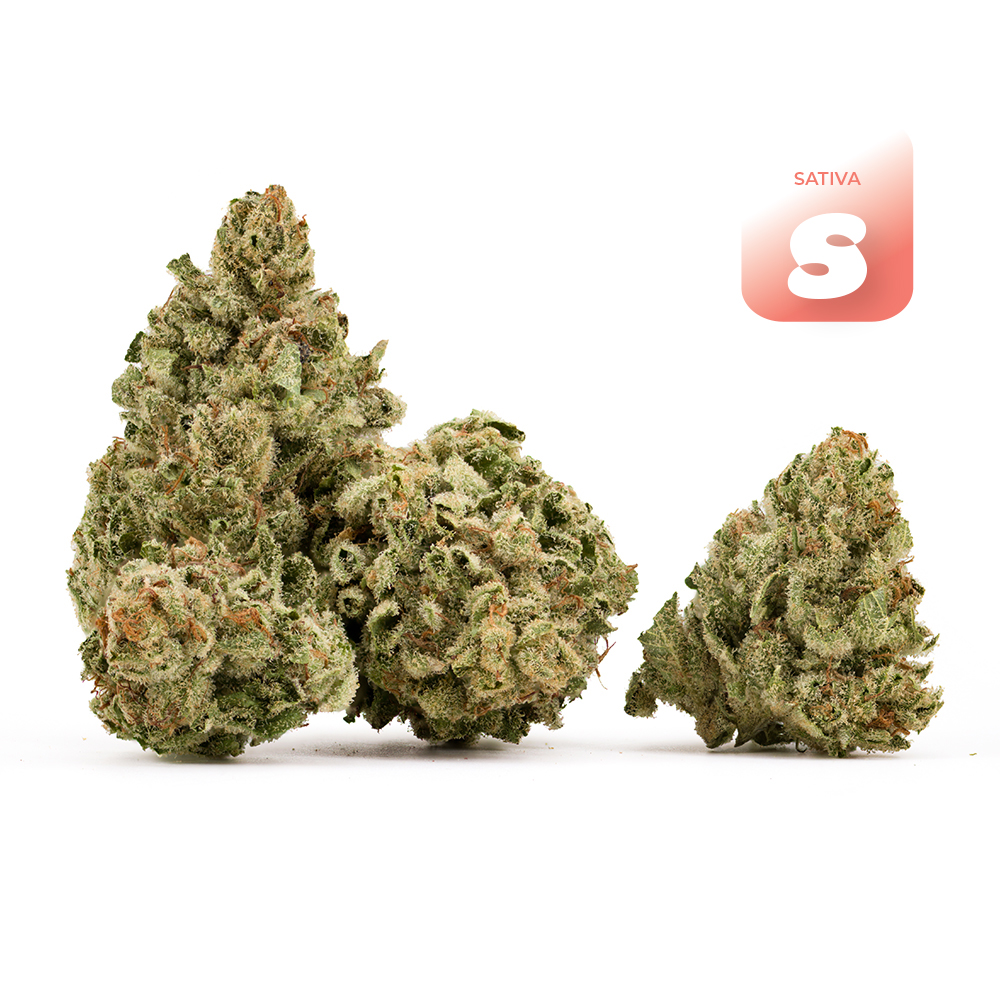 Maui Wowie  (sativa leaning) - Flower - THC:  THCA: 21.6% CBD: 