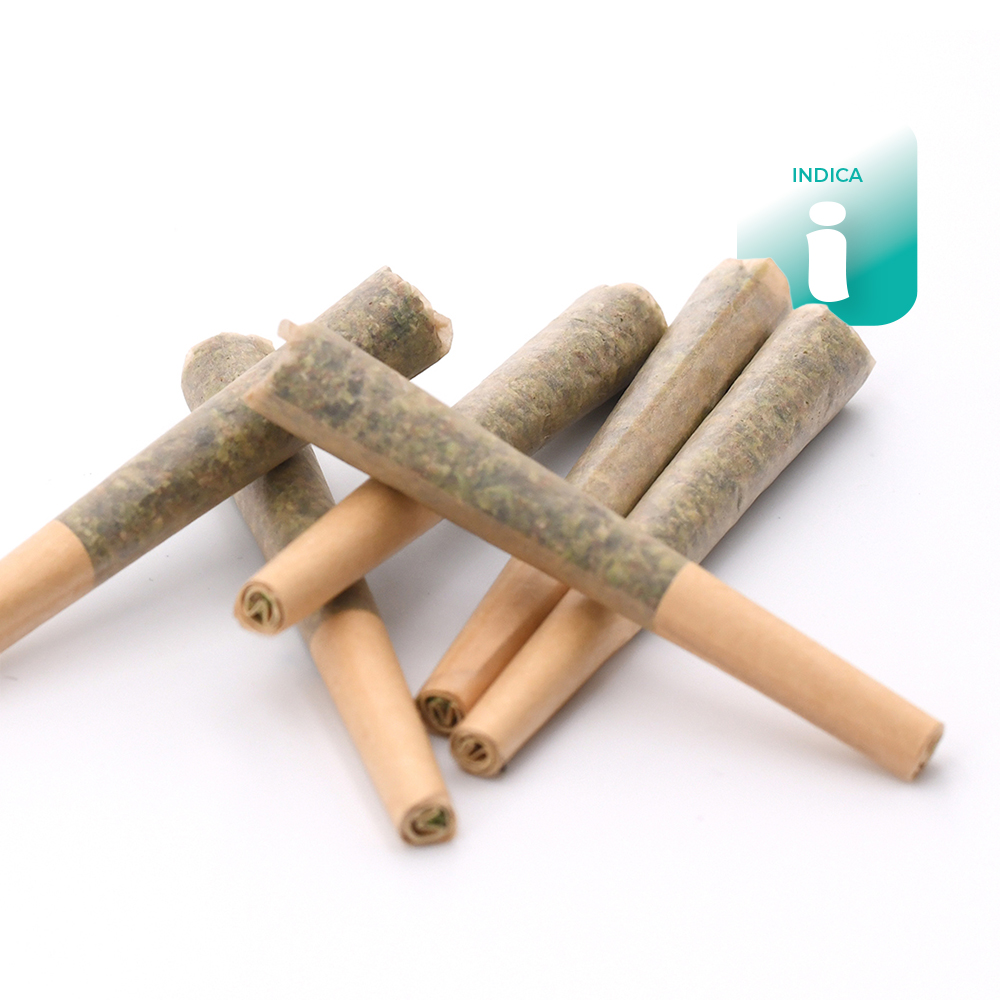 Maple Root Pre-Rolls 5pk - Flower - THC: 20.5 THCA: 22.4% CBD: 0