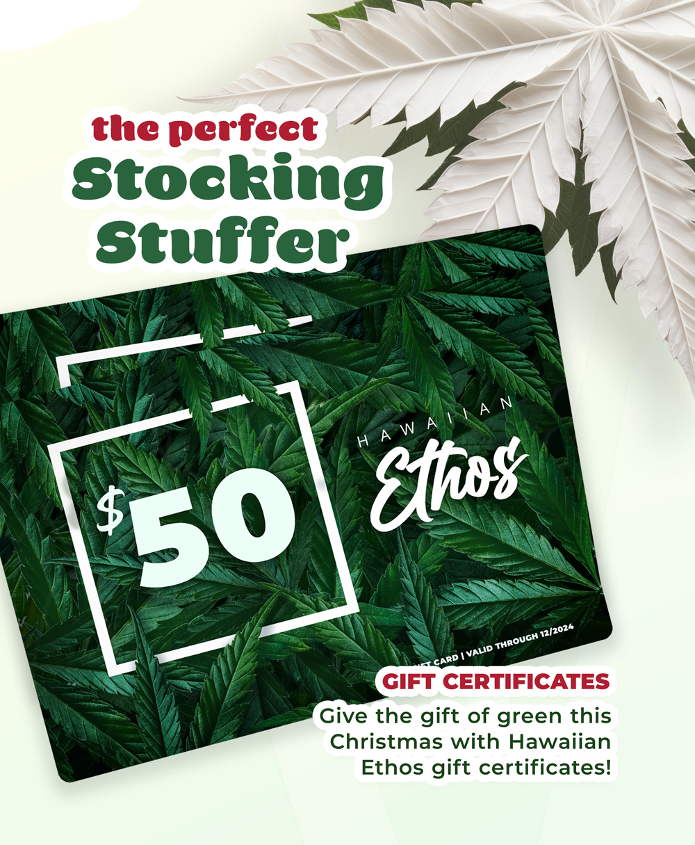 Waimea Daily Specials