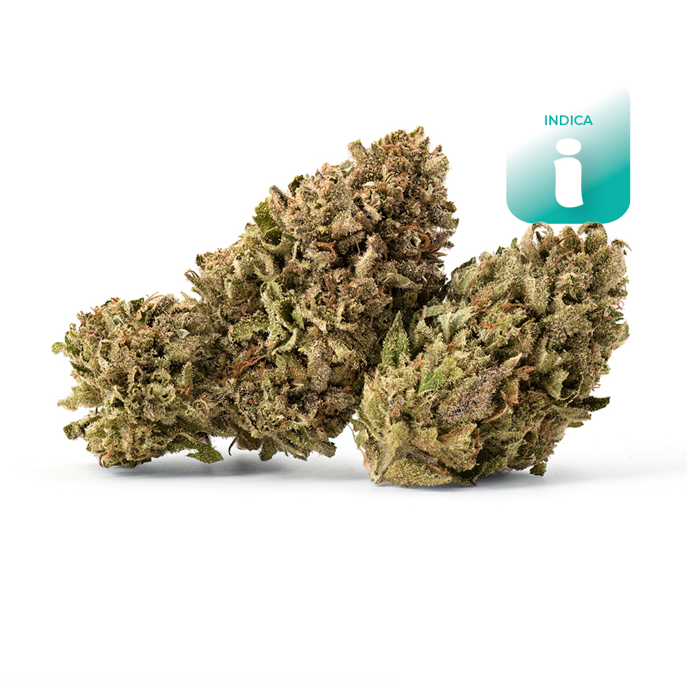 Guava Cream  (indica Leaning) - Flower - THC: 20.6% THCA: 22.5% CBD: 